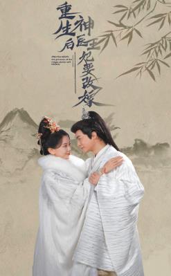 重生后神醫王妃要改嫁(全集)
