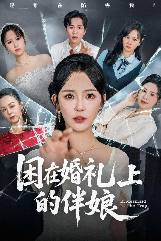 困在婚禮上的伴娘(全集)