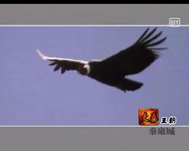 中國十大王朝(全集)