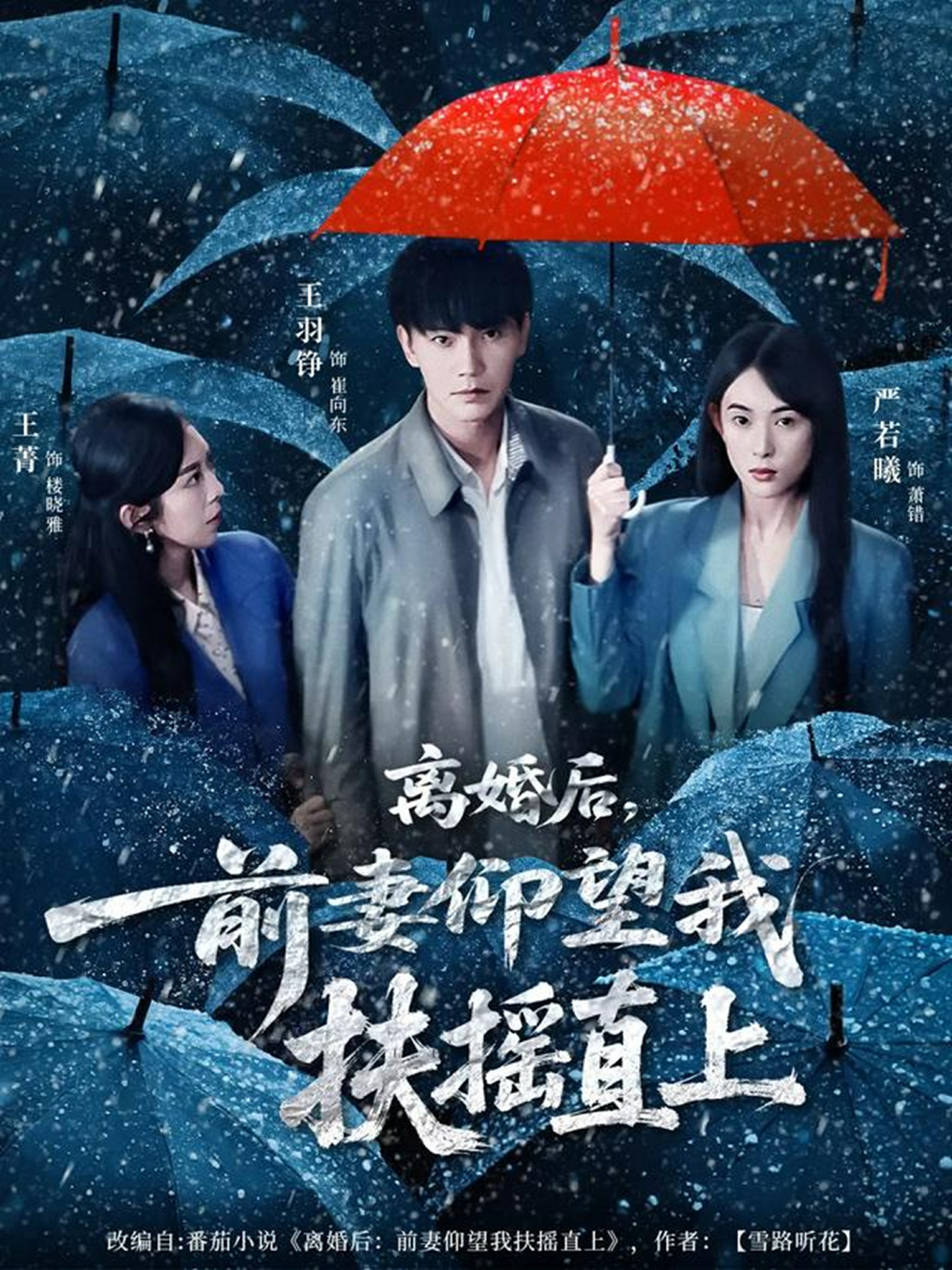 離婚后，前妻仰望我扶搖直(全集)