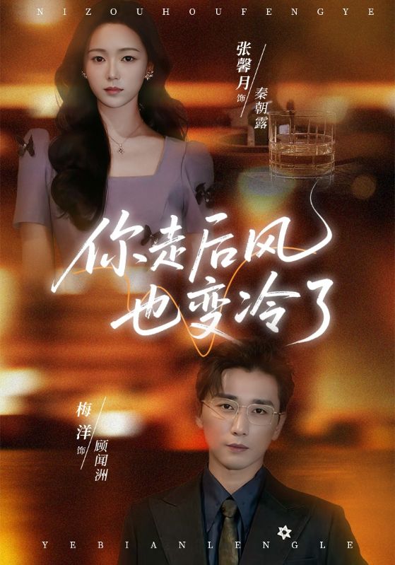 你走后風也變冷了(全集)