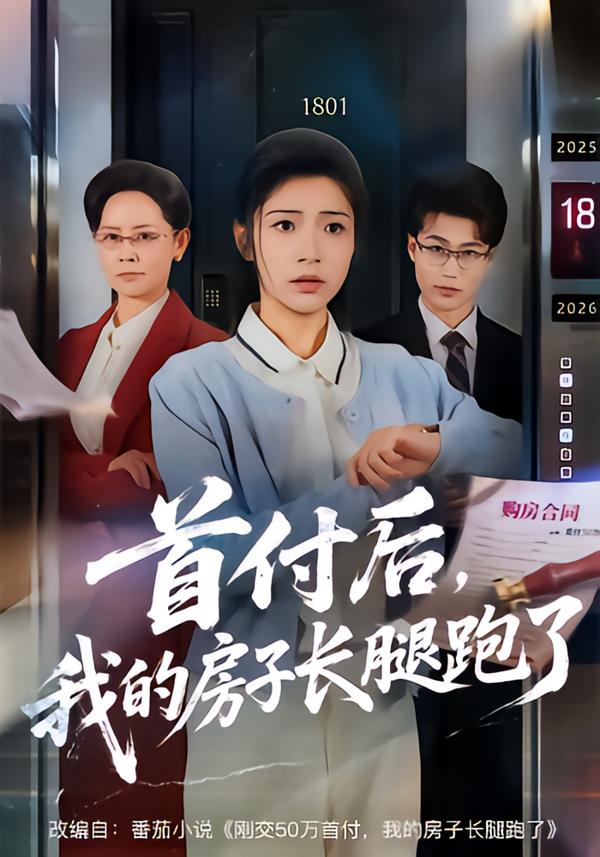 首付后，我的房子長腿跑了(全集)