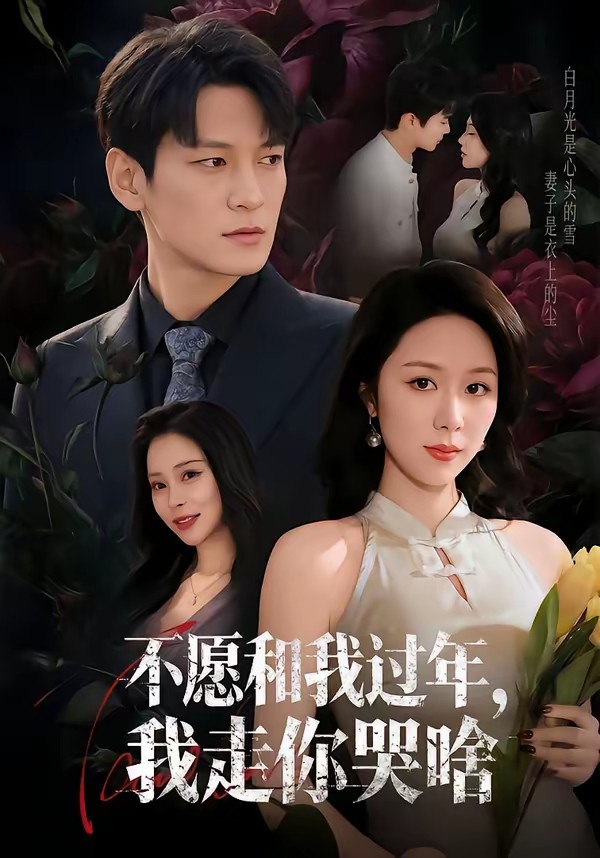 不愿和我過(guò)年，我走你哭啥(全集)