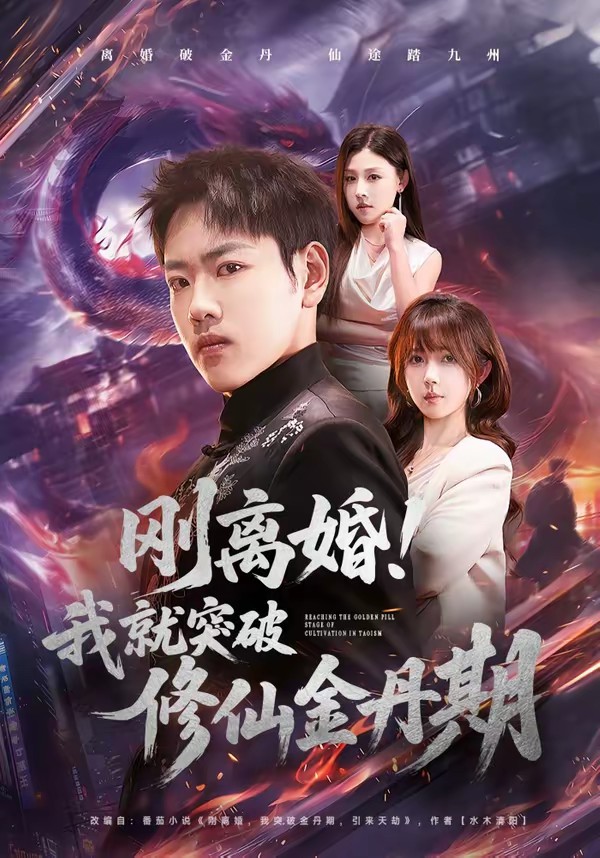 剛離婚！我就突破修仙金丹期(全集)