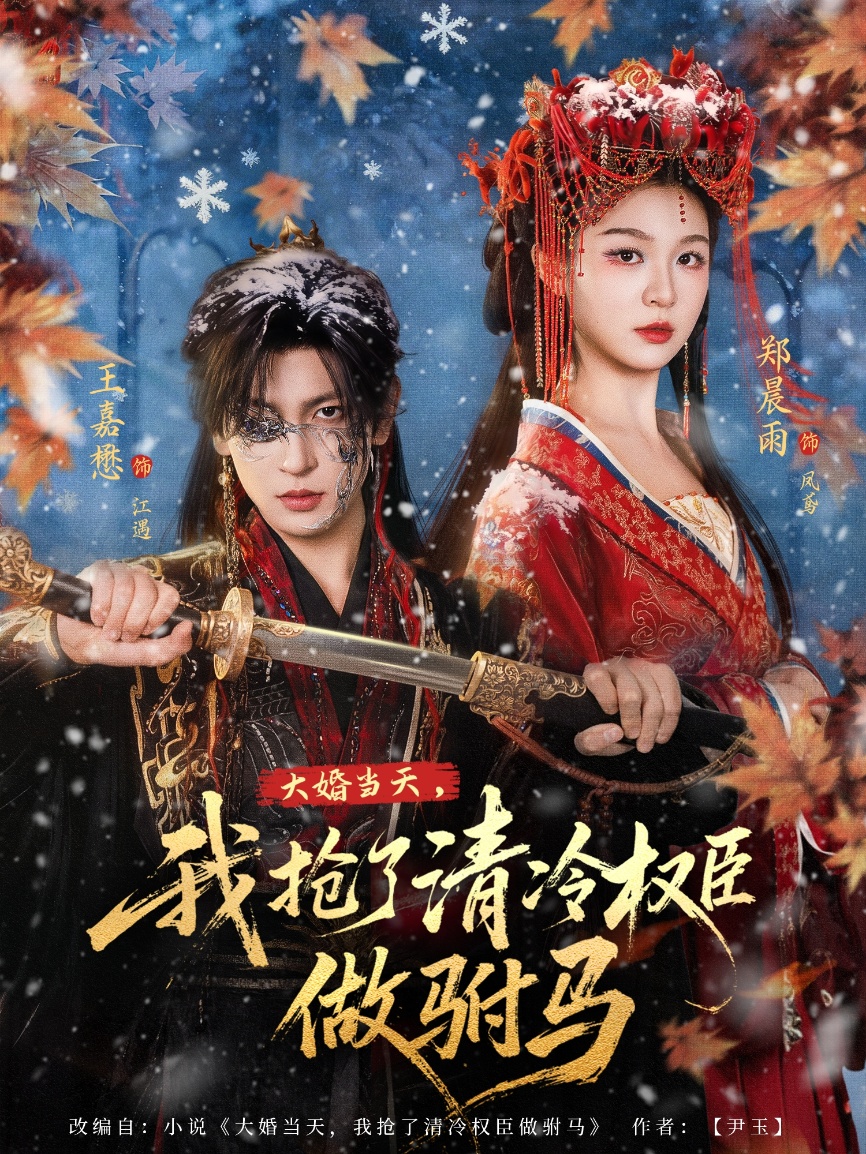 大婚當天，我搶了清冷權臣做駙馬(全集)