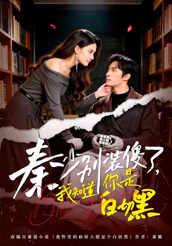 秦少別裝傻了，我知道你是白切黑(全集)