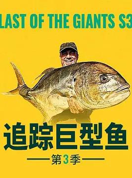 追蹤巨型魚第三季(全集)
