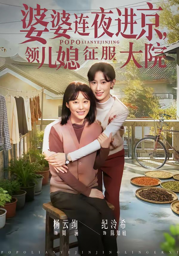 婆婆連夜進京，領兒媳征服大院(全集)