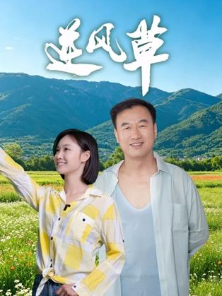 逆風草